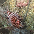 IMG_0800.JPG