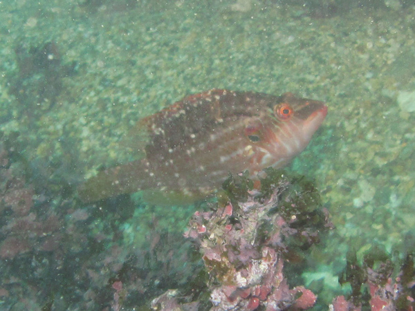 IMG_0812.JPG