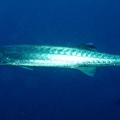 IMG_1834.JPG