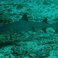 IMG_2005.JPG