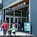 SEATTLE AQUARIUM（兩週前我才剛帶學生來這校外教學說）