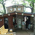 松鼠村