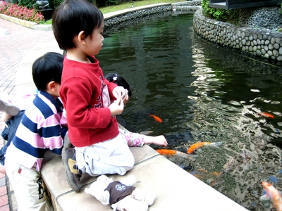 餵魚去