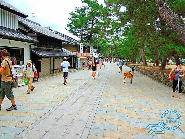 東大寺.JPG 東大寺.JPG
