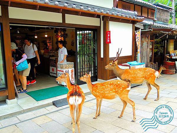 東大寺-001.JPG 東大寺-001.JPG