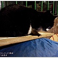 IMG_20140101_173905.jpg
