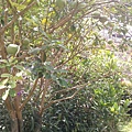 IMG_20140826_104647.jpg