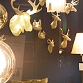 1908350968-PB111861.jpg
