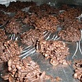 1455962980-P5070504.jpg