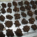 1455962986-P5070510.jpg