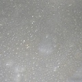 1312729404-L1150035.jpg
