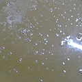 1312729430-L1150069.jpg