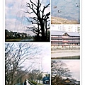 pt2014_03_07_19_23_17_mh1394187824469.jpg