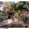 2014-03-07-09-51-01_photo.jpg