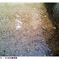 2014-03-07-09-51-09_photo.jpg