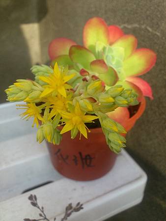 美人 薄化粧 Josie的生活日記 痞客邦