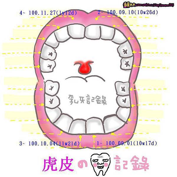 虎皮牙牙.JPG