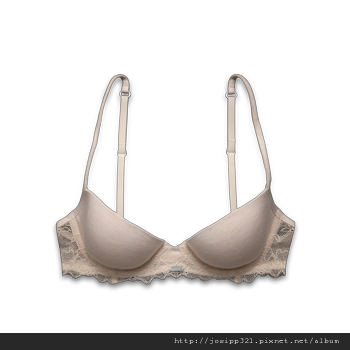 oatmeal bra.png