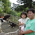 一堆小牛與兩父女