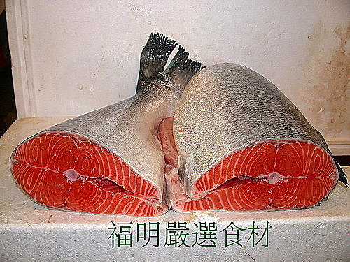 大匠嚴選食材篇 挪威鮭魚 大匠食堂平價日本料理 匠太郎創作日本料理 痞客邦