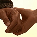 d02.jpg