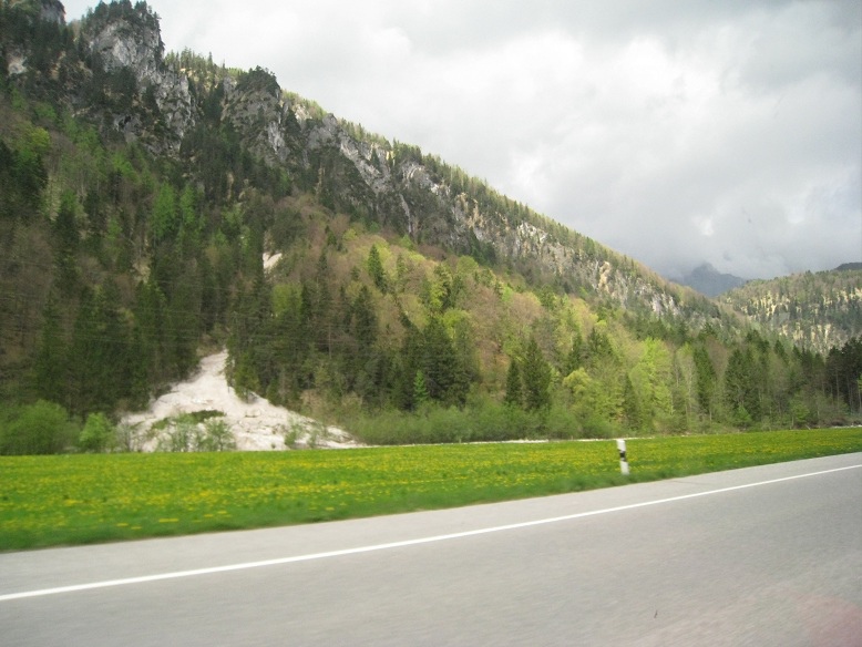 IMG_8641.JPG IMG_8641.JPG