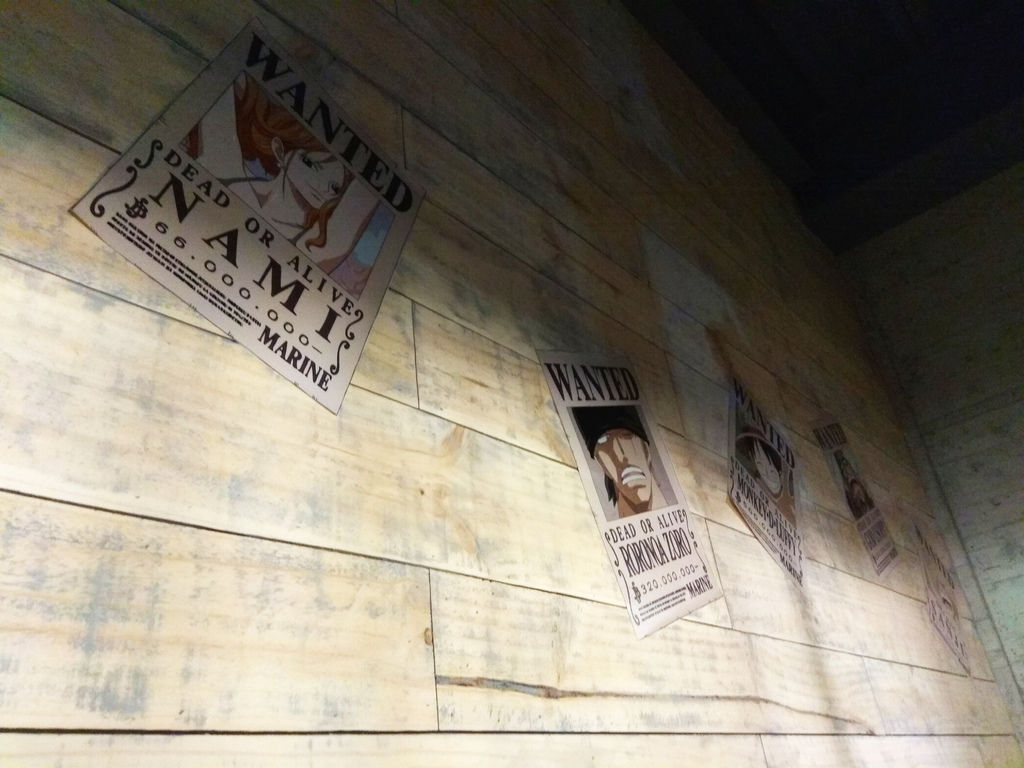 IMG_20171123_204134.jpg IMG_20171123_204134.jpg