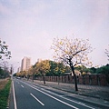 F1000024.JPG