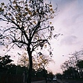 F1000023.JPG