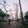 F1000021.JPG