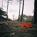 F1000020.JPG