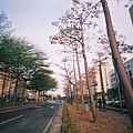 F1000018.JPG