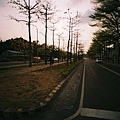 F1000017.JPG