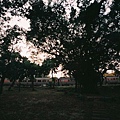 F1000013.JPG