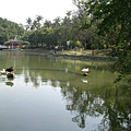 060205-03<br>台南公園的水池