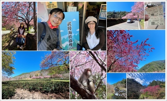 20220212_武陵農場25.jpg 20220212_武陵農場25.jpg