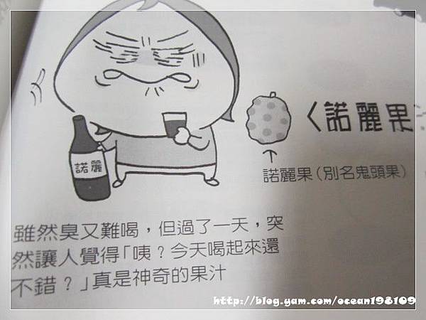 諾麗果1 諾麗果1