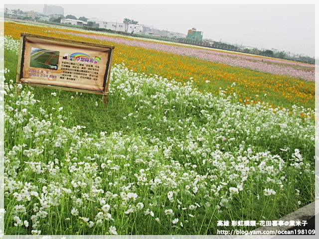 夢想隧道.JPG 夢想隧道.JPG