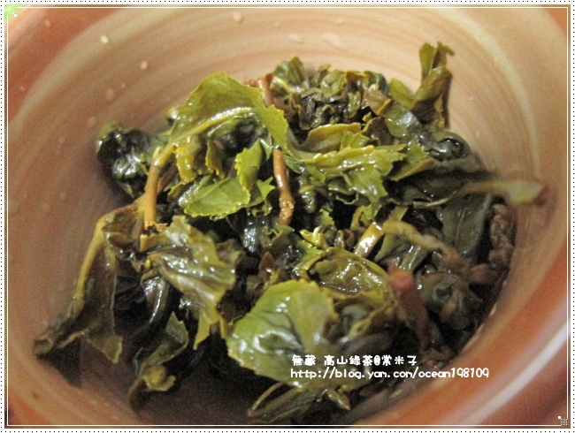 茶9.JPG 茶9.JPG