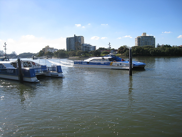 學校外圍   附近得碼頭   citycat ___mowbray park 