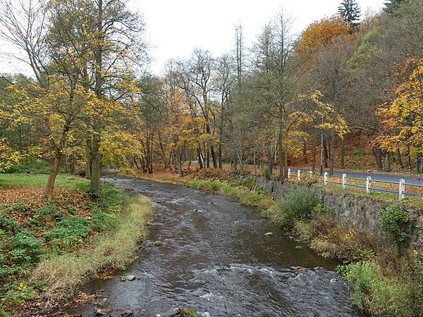 DSC06831.JPG DSC06831.JPG