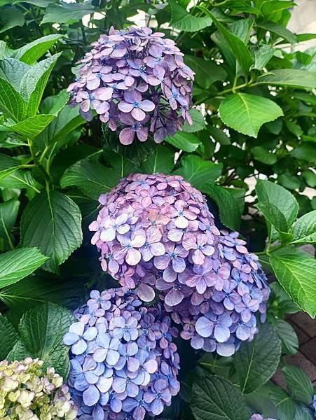 雲花禮全台線上送禮 開幕賀禮推薦