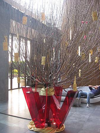 IMG_5753 IMG_5753