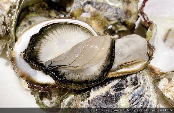 台中海鮮居酒屋-#吉村 33