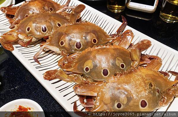台中海鮮居酒屋-#吉村 36