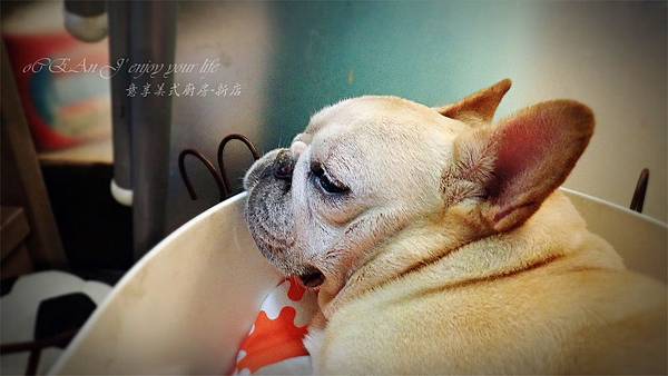 意享美式廚房-新店-85.jpg 意享美式廚房-新店-85.jpg