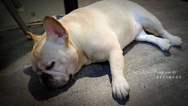 意享美式廚房-新店-12.jpg 意享美式廚房-新店-12.jpg