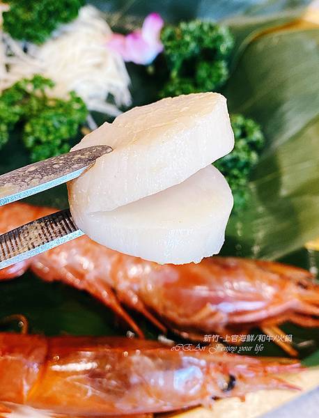 新竹竹北火鍋-上官木桶鍋-海鮮和牛火鍋.72.jpg 新竹竹北火鍋-上官木桶鍋-海鮮和牛火鍋.72.jpg