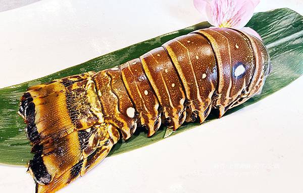 新竹竹北火鍋-上官木桶鍋-海鮮和牛火鍋.74.jpg 新竹竹北火鍋-上官木桶鍋-海鮮和牛火鍋.74.jpg