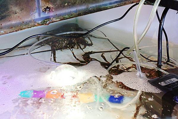 新竹竹北火鍋-上官木桶鍋-海鮮和牛火鍋.04.jpg 新竹竹北火鍋-上官木桶鍋-海鮮和牛火鍋.04.jpg